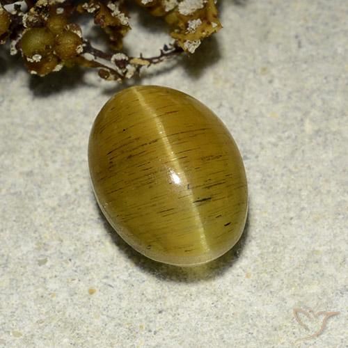 3.56ct Naturale Giallo Marrone Apatite effetto occhio di gatto, Ovale, Traslucido