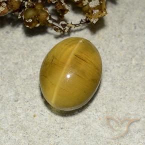 Apatite occhio di gatto Giallo Marrone naturale da 2.82 ct, Ovale, Traslucido