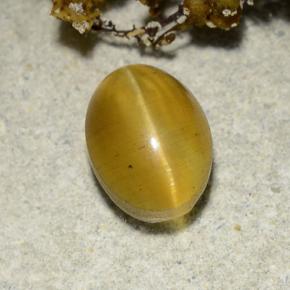 Cat's eye apatite naturale giallo da 2,57 ct, taglio ovale, traslucido