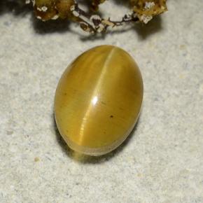 Cat's eye apatite naturale giallo da 2,57 ct, taglio ovale, traslucido
