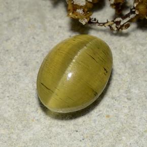 Cat's eye apatite naturale dorato da 2,83 ct, taglio ovale, traslucido