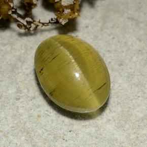 Cat's eye apatite naturale dorato da 2,83 ct, taglio ovale, traslucido
