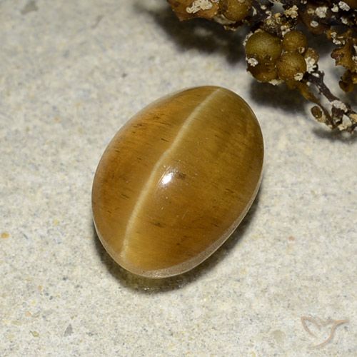 3.48ct Naturale Marrone dorato Apatite effetto occhio di gatto, Ovale, Traslucido