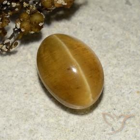 Apatite occhio di gatto Marrone dorato naturale da 3.48 ct, Ovale, Traslucido