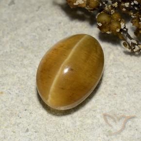 Apatite occhio di gatto Marrone dorato naturale da 3.48 ct, Ovale, Traslucido