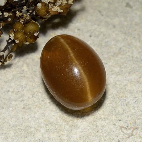 Apatite occhio di gatto Marrone caldo naturale da 3.12 ct, Ovale, Traslucido