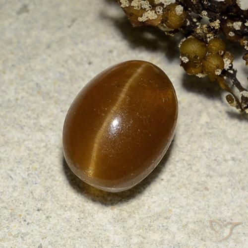 Apatite occhio di gatto Marrone caldo naturale da 3.12 ct, Ovale, Traslucido