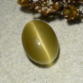 Apatite occhio di gatto Oro verdastro naturale da 3.00 ct, Taglio ovale, Traslucido