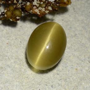 Apatite occhio di gatto Oro verdastro naturale da 3.00 ct, Taglio ovale, Traslucido