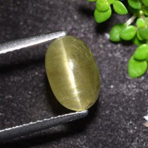 Apatite occhio di gatto Giallo neutro naturale da 2.32 ct, Taglio ovale, Traslucido