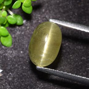 Apatite occhio di gatto Giallo neutro naturale da 2.32 ct, Taglio ovale, Traslucido