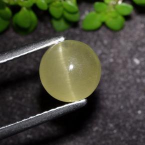 Apatite occhio di gatto Giallo terroso naturale da 2.17 ct, Taglio rotondo, Traslucido