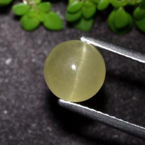 Apatite occhio di gatto Giallo terroso naturale da 2.17 ct, Taglio rotondo, Traslucido