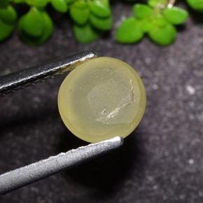 Apatite occhio di gatto Giallo terroso naturale da 2.17 ct, Taglio rotondo, Traslucido