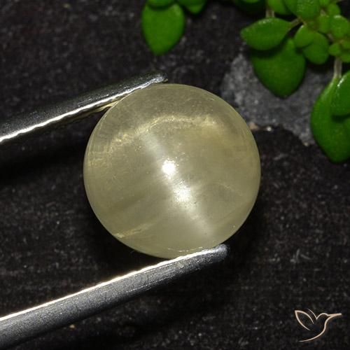 Apatite occhio di gatto Giallo neutro naturale da 4.18 ct, Taglio rotondo, Trasparente
