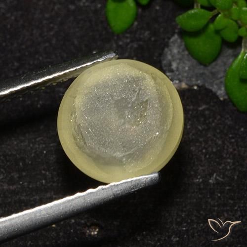 Apatite occhio di gatto Giallo neutro naturale da 4.18 ct, Taglio rotondo, Trasparente