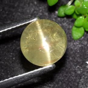 Apatite occhio di gatto Giallo medio naturale da 3.50 ct, Taglio rotondo, Trasparente