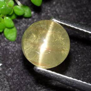 Apatite occhio di gatto Giallo medio naturale da 3.50 ct, Taglio rotondo, Trasparente