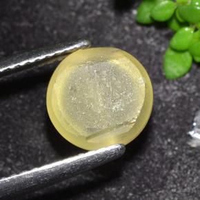 Apatite occhio di gatto Giallo medio naturale da 3.50 ct, Taglio rotondo, Trasparente
