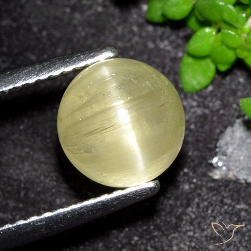 3.41ct Naturale Giallo medio Apatite effetto occhio di gatto, Rotondo, Traslucido