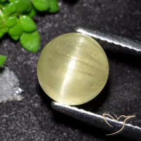 Apatite occhio di gatto Giallo medio naturale da 3.41 ct, Rotondo, Traslucido
