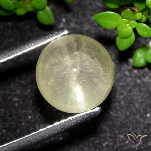 3.48ct Naturale Giallo pallido Apatite effetto occhio di gatto, Rotondo, Trasparente
