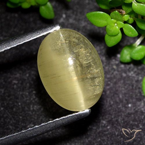 3.09ct Naturale Giallo medio Apatite effetto occhio di gatto, Ovale, Trasparente