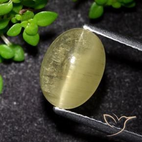 Apatite occhio di gatto Giallo medio naturale da 3.09 ct, Ovale, Trasparente