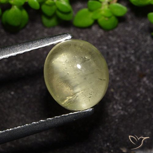 2.34ct Naturale Giallo neutro Apatite effetto occhio di gatto, Ovale, Trasparente