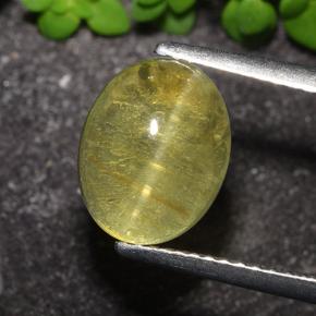 Apatite occhio di gatto Giallo dorato chiaro naturale da 3.51 ct, Taglio ovale, Traslucido