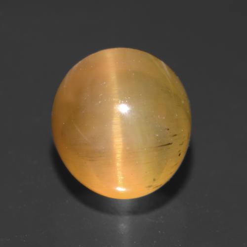 Apatite occhio di gatto Marrone dorato naturale da 2.18 ct, Taglio rotondo, Traslucido