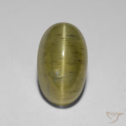 2.95ct Naturale Giallo neutro Apatite effetto occhio di gatto, Ovale, Traslucido