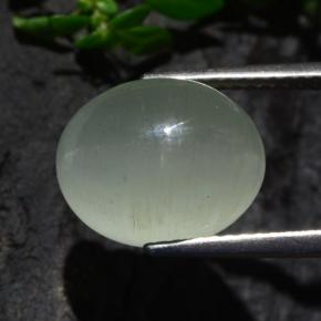 Cat's eye aquamarine naturale verde da 7,13 ct, taglio ovale, traslucido