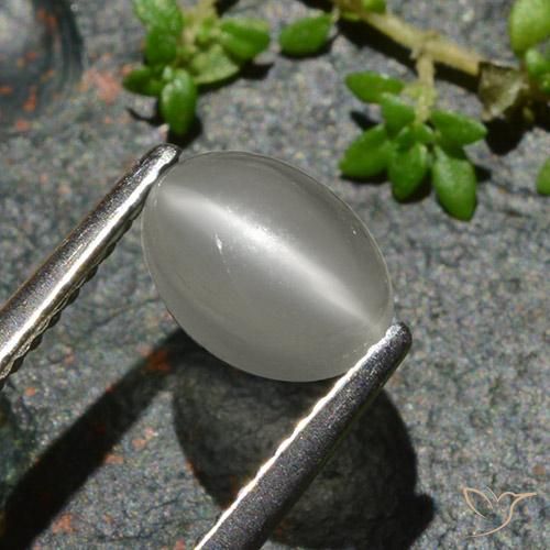 Pietra di luna occhio di gatto Bianco caldo naturale da 1.02 ct, Ovale, Traslucido