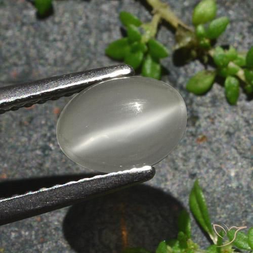 Pietra di luna occhio di gatto Bianco caldo naturale da 1.02 ct, Ovale, Traslucido