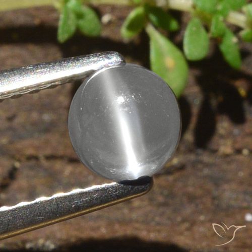 0.84ct Naturale Bianco Pietra di Luna effetto occhio di gatto, Rotondo, Traslucido