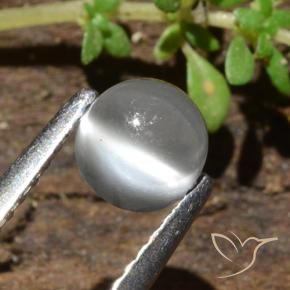 Pietra di luna occhio di gatto Bianco naturale da 0.84 ct, Rotondo, Traslucido