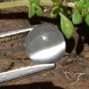 Pietra di luna occhio di gatto Bianco naturale da 0.84 ct, Rotondo, Traslucido