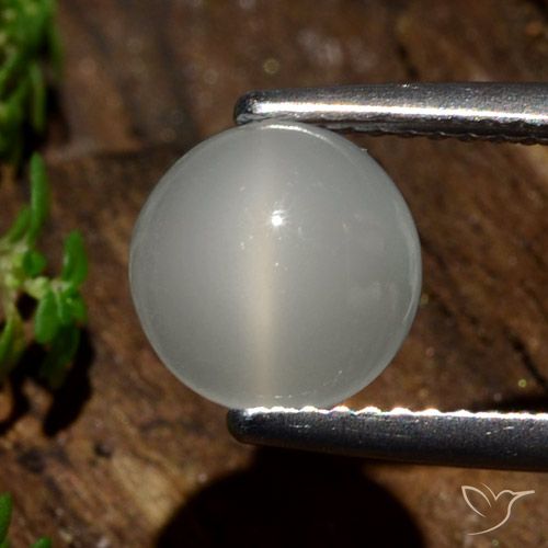 2.09ct Naturale Bianco caldo Pietra di Luna effetto occhio di gatto, Rotondo, Traslucido