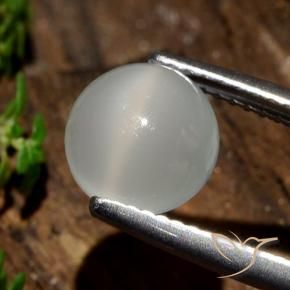 Pietra di luna occhio di gatto Bianco caldo naturale da 2.09 ct, Rotondo, Traslucido