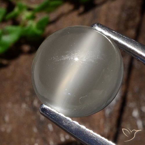 3.25ct Naturale Bianco caldo Pietra di Luna effetto occhio di gatto, Rotondo, Traslucido
