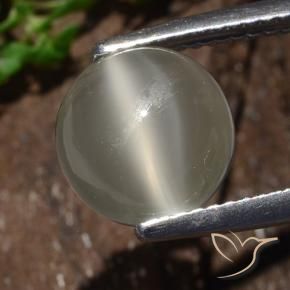 Pietra di luna occhio di gatto Bianco caldo naturale da 3.25 ct, Rotondo, Traslucido