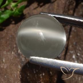 Pietra di luna occhio di gatto Bianco caldo naturale da 3.25 ct, Rotondo, Traslucido