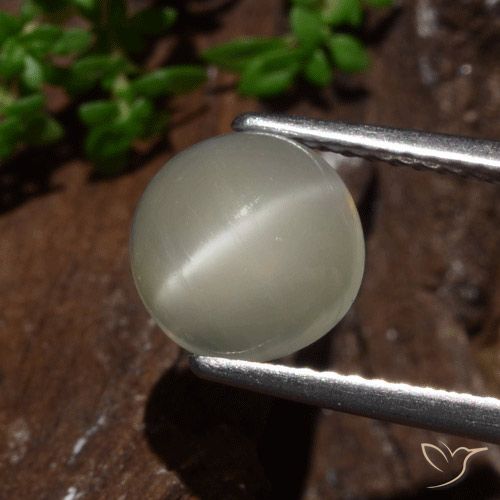 2.30ct Naturale Giallo chiaro Pietra di Luna effetto occhio di gatto, Rotondo, Traslucido