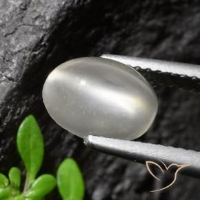 Pietra di luna occhio di gatto Bianco naturale da 1.94 ct, Taglio ovale, Trasparente