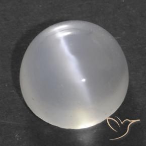 Pietra di luna occhio di gatto Bianco traslucido naturale da 1.52 ct, Rotondo, Trasparente