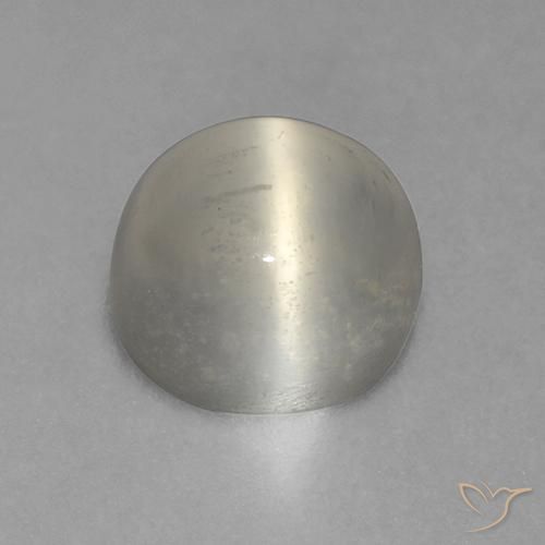 Pietra di luna occhio di gatto Bianco caldo naturale da 1.57 ct, Rotondo, Trasparente