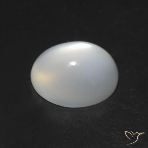 Pietra di luna occhio di gatto Bianco naturale da 1.51 ct, Ovale, Traslucido