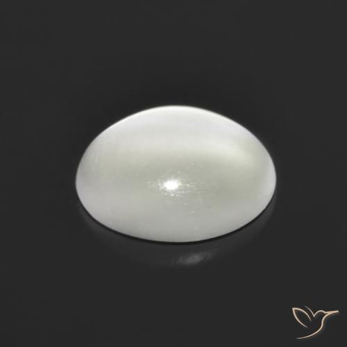 Pietra di luna occhio di gatto Bianco naturale da 1.48 ct, Taglio ovale, Traslucido
