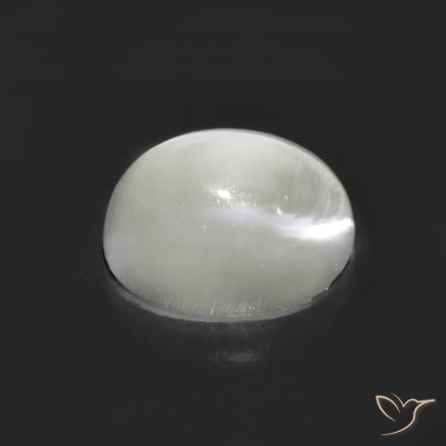 Pietra di luna occhio di gatto Bianco naturale da 1.62 ct, Ovale, Traslucido